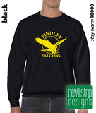 Findley Falcons