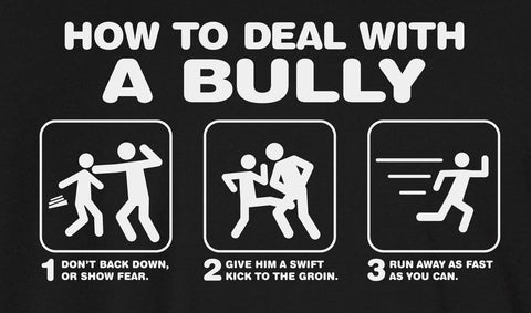 How to deal with a BULLY